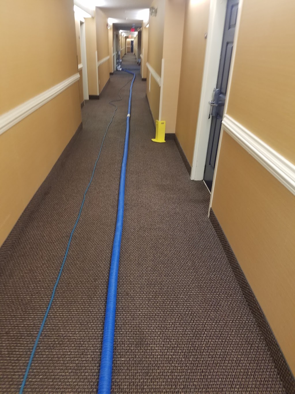 HL CARPET CLEANING LLC | 9 Wooded Hill Dr, Hampton, VA 23669, USA | Phone: (757) 582-3154