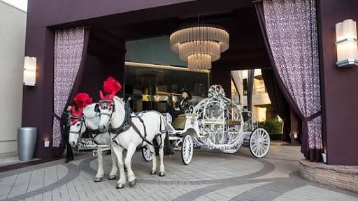 Cindy Cinderella Carriages | 5665 46th St, Riverside, CA 92509, USA | Phone: (951) 529-5269