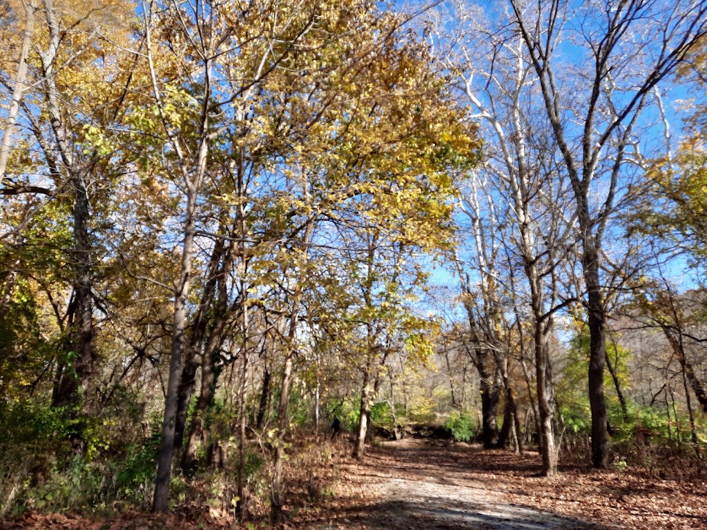 The Narrows Reserve Nature Center | 2575 Indian Ripple Rd, Xenia, OH 45385, USA | Phone: (937) 429-9590