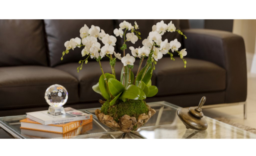 Lovely Orchid | 11424 SW 252nd St, Princeton, FL 33032, USA | Phone: (305) 799-1836