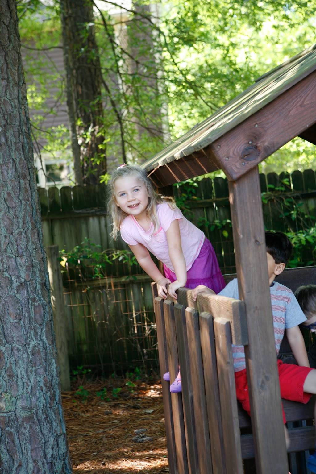 Montessori Community School | 4512 Pope Rd, Durham, NC 27707, USA | Phone: (919) 493-8541