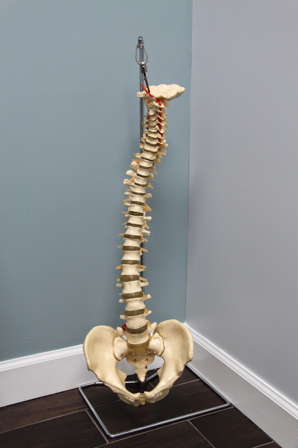 Back In Harmony Chiropractic and Wellness Center | 6115 Stirling Rd #205, Davie, FL 33314, USA | Phone: (954) 604-5384