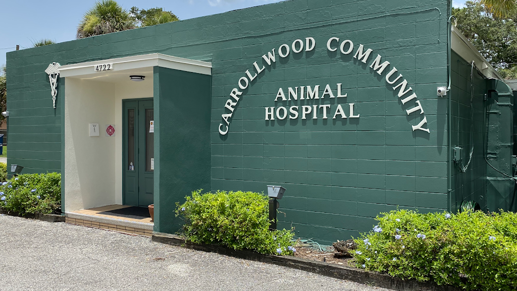 Carrollwood Community Animal Hospital | 4227 Gunn Hwy, Tampa, FL 33618, USA | Phone: (813) 962-1010