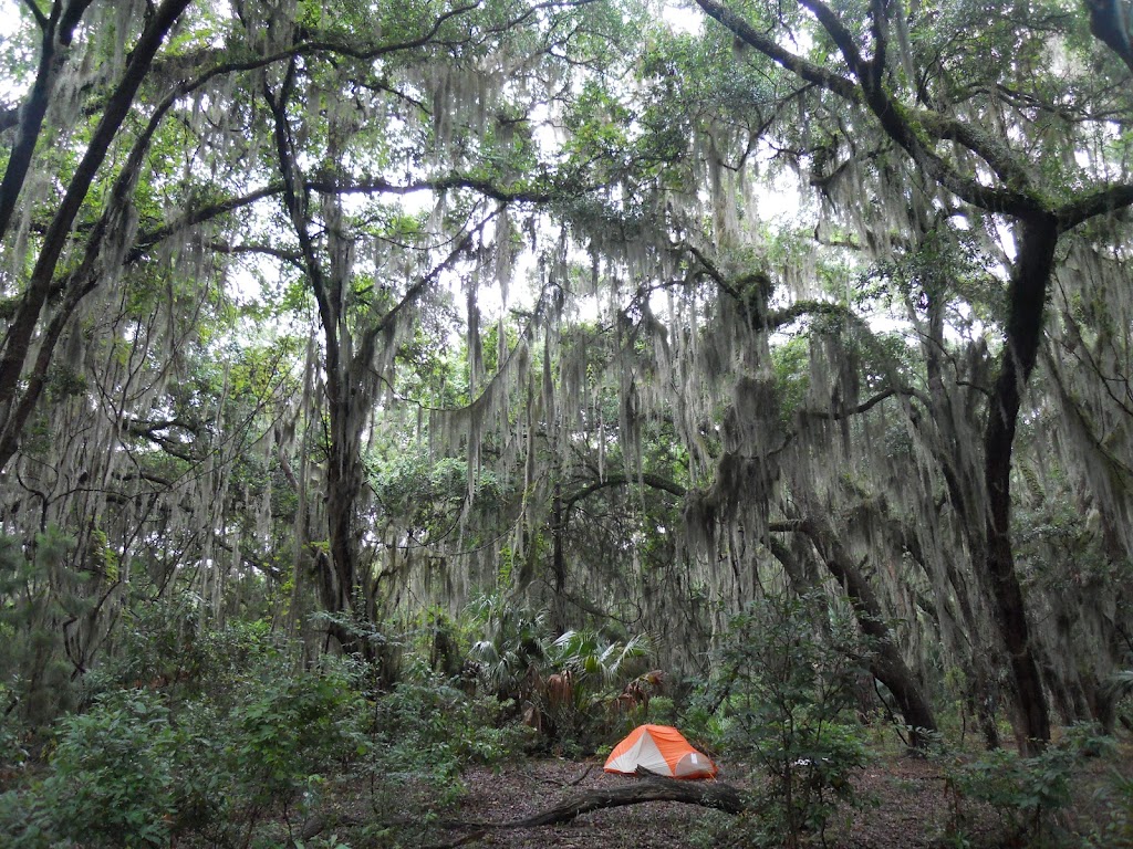 Hickory Hill Campground | Cumberland Island, St Marys, GA 31558, USA | Phone: (912) 882-4336