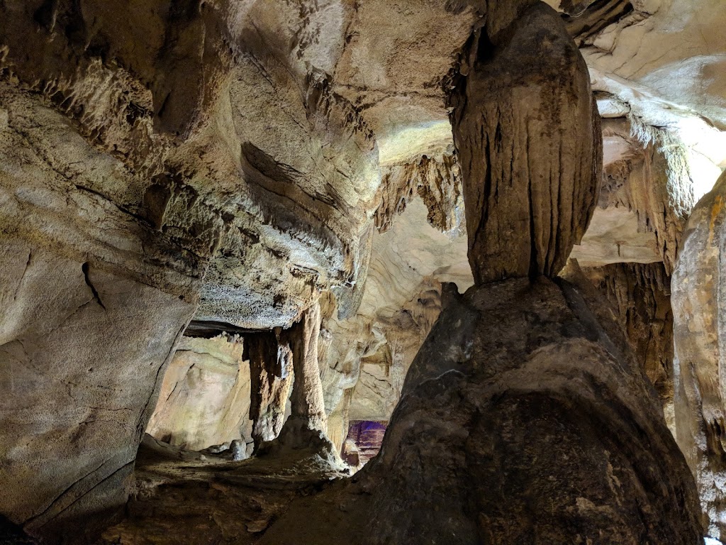 Rickwood Caverns State Park | 370 Rickwood Park Rd, Warrior, AL 35180, USA | Phone: (205) 647-9692