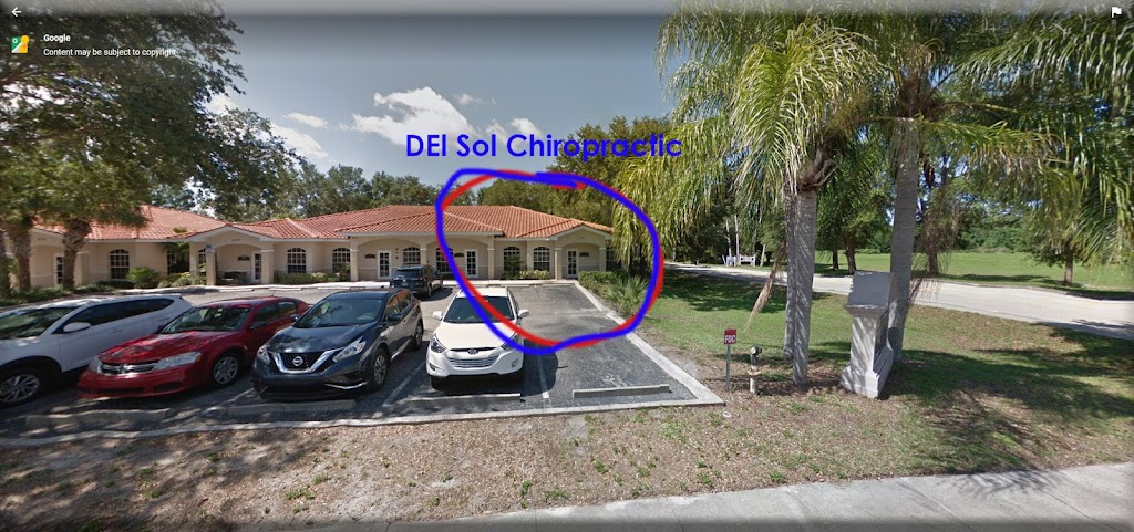 Del Sol Chiropractic | 5919 Approach Rd Sunrise Plazza, Sarasota, FL 34238, USA | Phone: (941) 552-8294