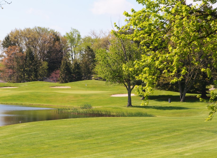 Monroe Golf & Country Club | 611 Cole Rd, Monroe, MI 48162, USA | Phone: (734) 241-5190