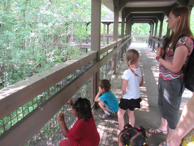 Kendal Early Learning Center | 600 Kendal Dr, Oberlin, OH 44074, USA | Phone: (440) 775-9815