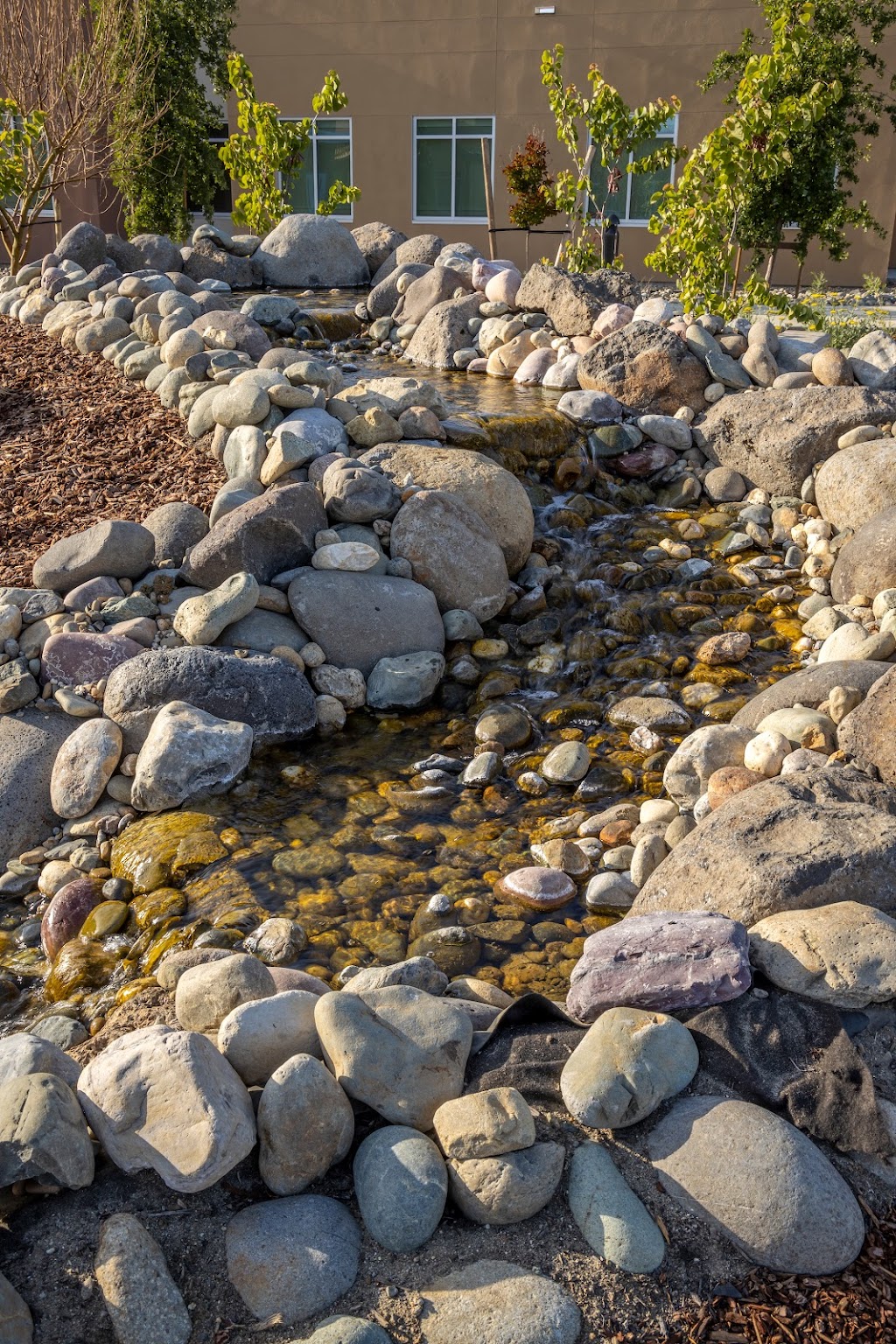 Sacred Oaks Healing Center | 33100 Co Rd 31, Davis, CA 95616, USA | Phone: (530) 702-6000