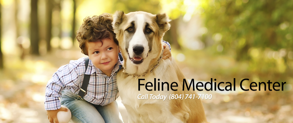 Feline Medical Center | 10607 Patterson Ave, Richmond, VA 23238, USA | Phone: (804) 741-7100