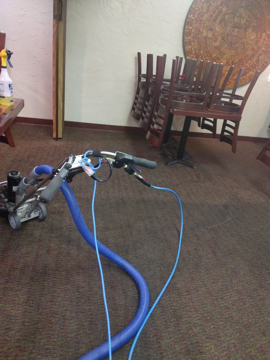 AMS Carpet Cleaning | 3925 E Orangeburg Ave, Modesto, CA 95355 | Phone: (209) 531-7073