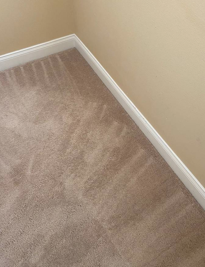 Vallejo Carpet & Upholstery Cleaning | 5184 Sonoma Blvd, Vallejo, CA 94589, USA | Phone: (707) 219-8770