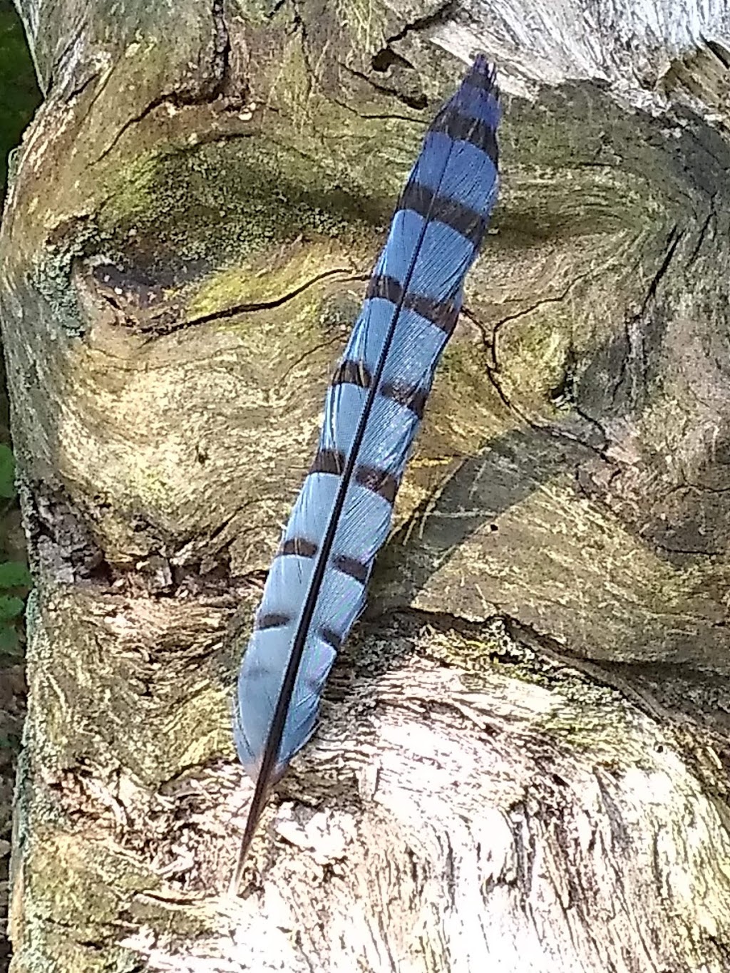 Art Bin | 15981 Valplast Rd, Middlefield, OH 44062, USA | Phone: (440) 632-1631