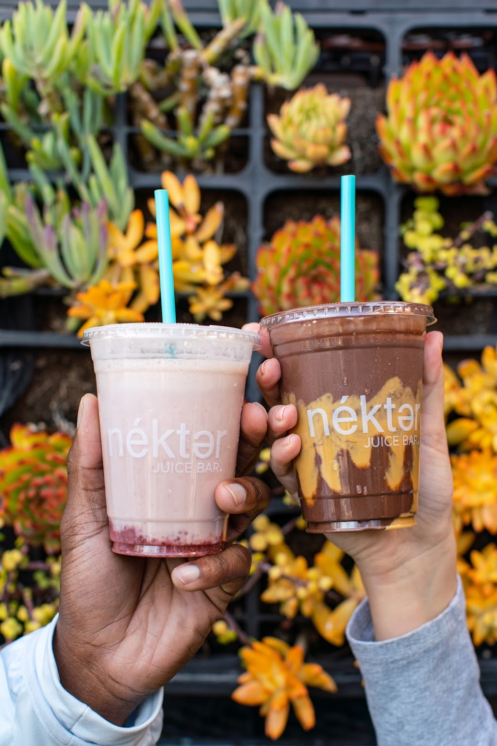 Nekter Juice Bar | 14345 W Bell Rd, Surprise, AZ 85374, USA | Phone: (623) 248-4914