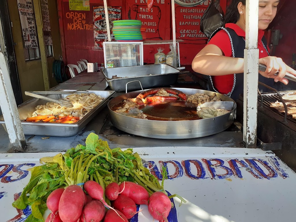 Taquería la mejor | Guacamayas, Natura Seccion Bosques, 22170 Tijuana, B.C., Mexico | Phone: 664 135 2549