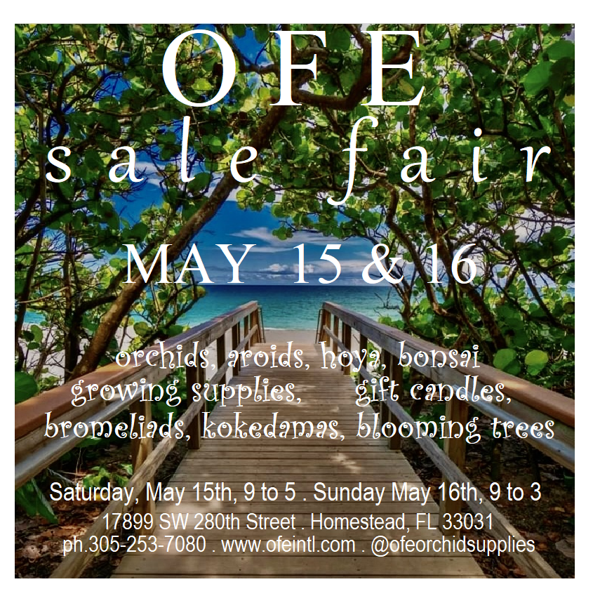 OFE Orchids & Supplies | 17899 SW 280th St, Homestead, FL 33031, USA | Phone: (305) 253-7080