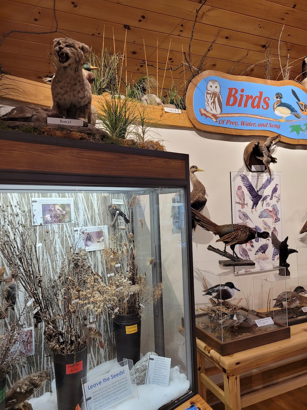 Farmington Hills Nature Center | 24915 Farmington Rd, Farmington Hills, MI 48336 | Phone: (248) 473-1870