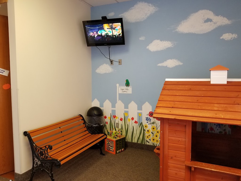 Eagan Valley Pediatrics | 14135 Cedar Ave # 100, Apple Valley, MN 55124, USA | Phone: (952) 432-4373