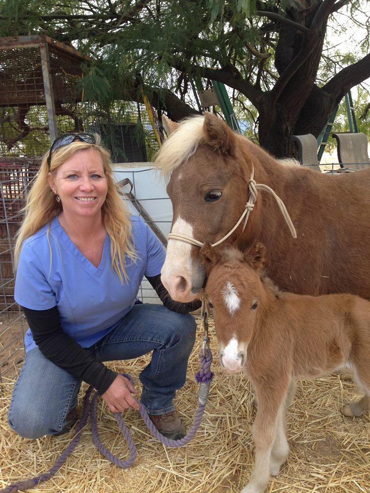 Durango Equine Veterinary Clinic | 20908 W Durango St, Buckeye, AZ 85326, USA | Phone: (623) 386-2928