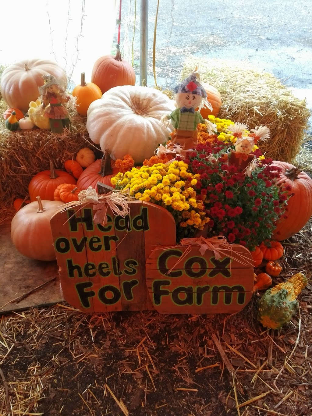 Cox Farm Wichita | 6059 S Seneca St, Wichita, KS 67217, USA | Phone: (316) 524-8062