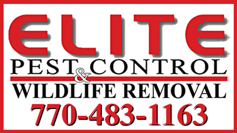 Elite Pest Control & Wildlife Removal Inc | 5949 GA-155 N, Stockbridge, GA 30281, USA | Phone: (770) 483-1163