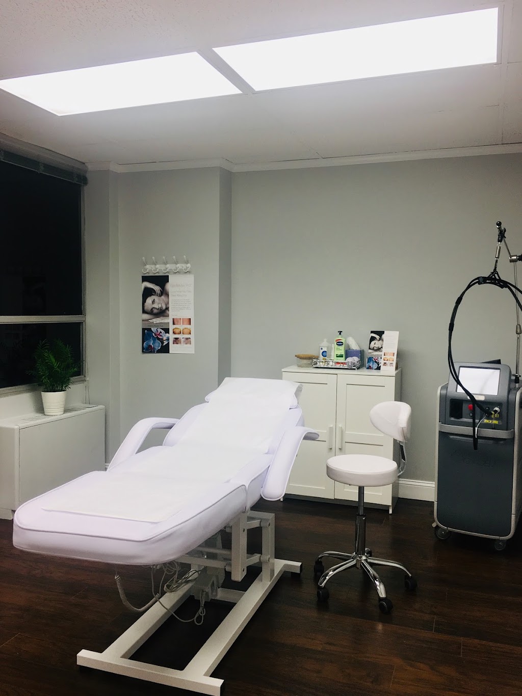 Lily SkinCare and Laser Clinic | 226 Maple Ave W Suite 302, Vienna, VA 22180, USA | Phone: (703) 774-8507