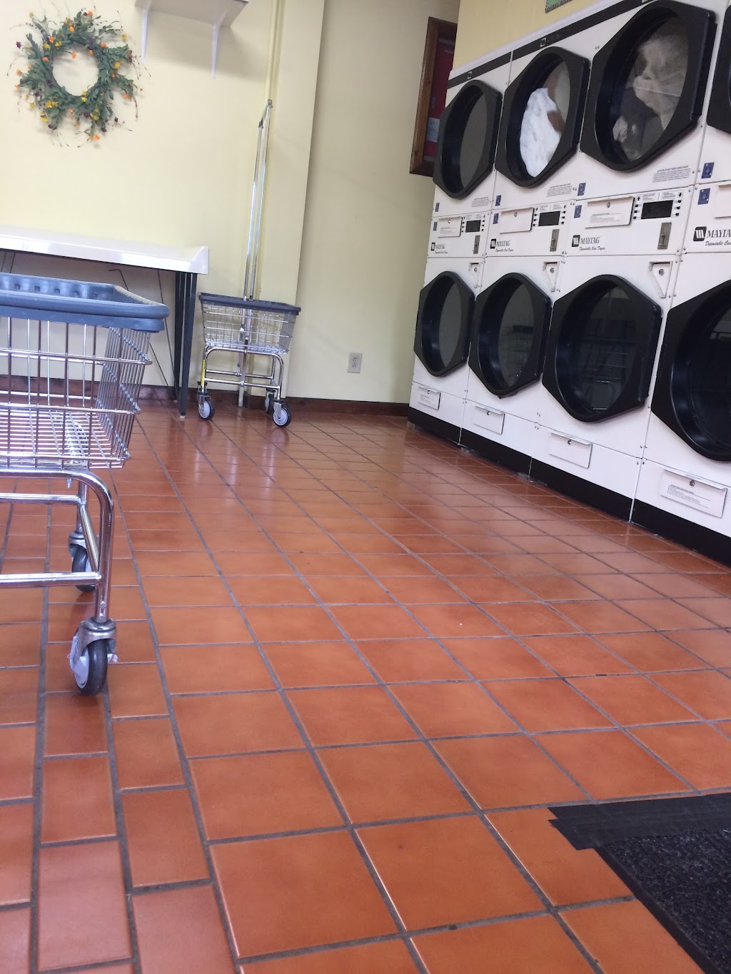 University Laundromat | 1148 Western Ave, Albany, NY 12203, USA | Phone: (518) 469-8706