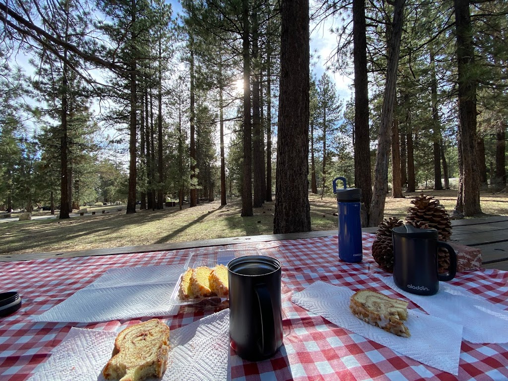 Serrano Campground | 40650 N Shore Dr, Fawnskin, CA 92333, USA | Phone: (909) 866-8550