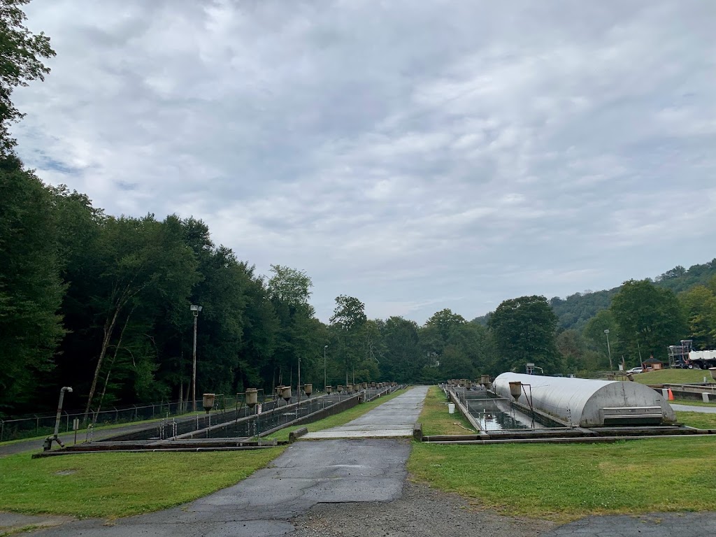 Catskill Fish Hatchery - NYS DEC | 402 Mongaup Rd, Livingston Manor, NY 12758, USA | Phone: (845) 439-4328