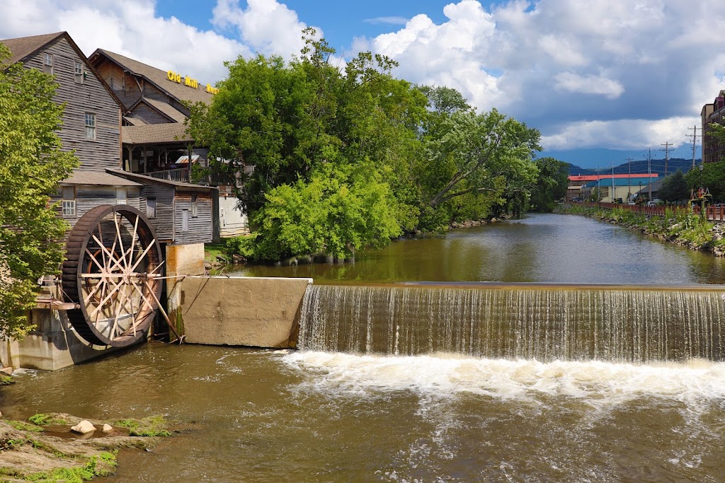 Pro Quality Imaging, LLC | 19950 Overlook Cir, Lawrenceburg, IN 47025, USA | Phone: (513) 571-3861