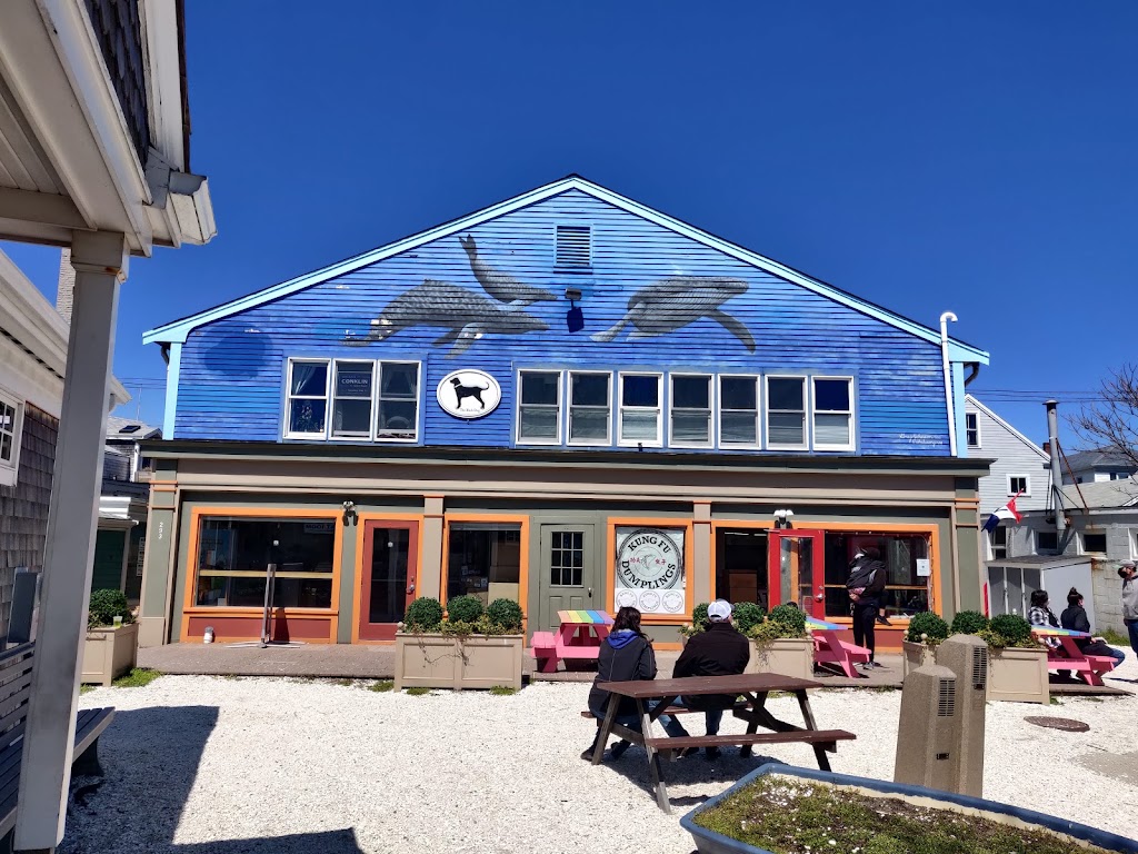 Dolphin Whale Watch | 307 Commercial St #1, Provincetown, MA 02657, USA | Phone: (508) 240-3636