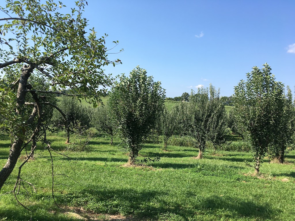 Shade Tree Orchard | 2087 Kinneys Rd, Adams, TN 37010, USA | Phone: (615) 696-2915