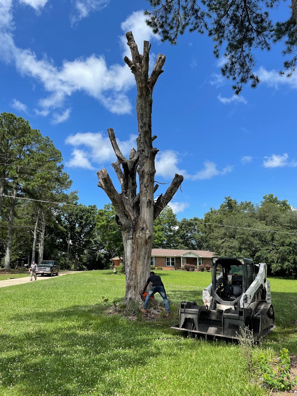 Central Alabama Tree Service | 2107 Lakeview Heights, Clanton, AL 35045, USA | Phone: (334) 322-6462