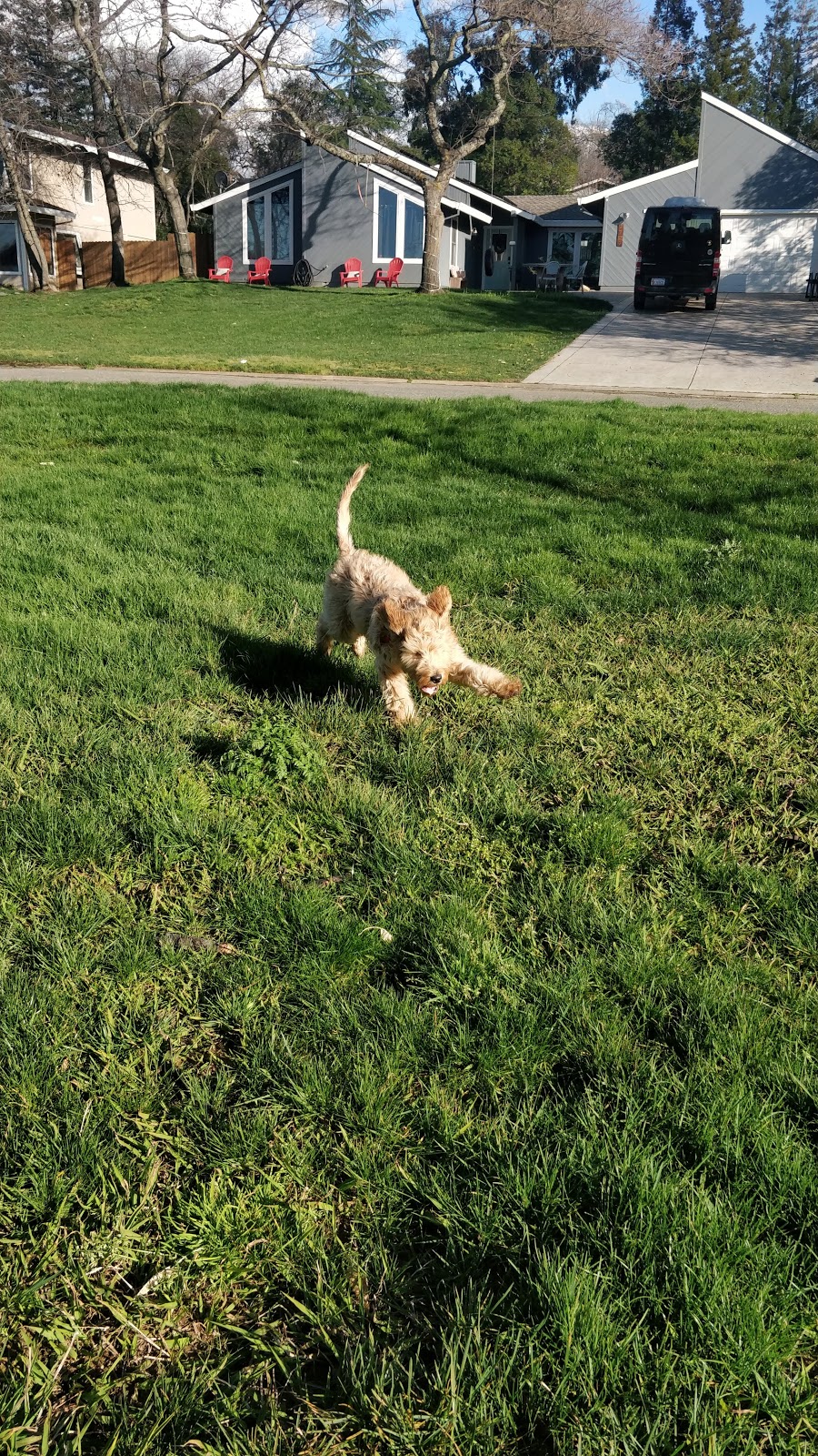 William C. "Bill" McCabe Park | 2581 Hoffman Ct, El Dorado Hills, CA 95762, USA | Phone: (916) 933-6624