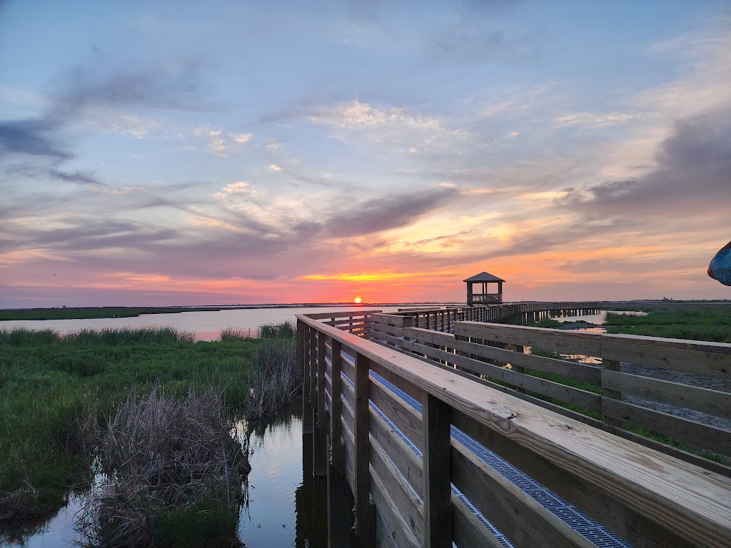 Leonabelle Turnbull Birding Center | 1356 Ross Ave, Port Aransas, TX 78373, USA | Phone: (361) 749-4111