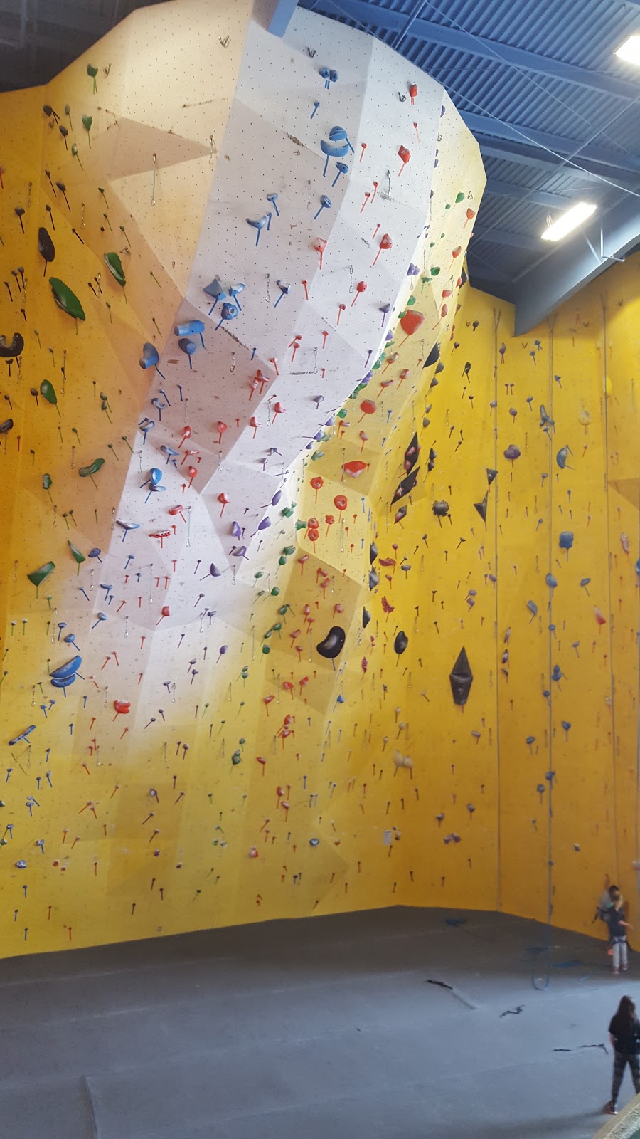 Planet Rock Climbing Gym | 1103 W 13 Mile Rd, Madison Heights, MI 48071, USA | Phone: (248) 397-8354