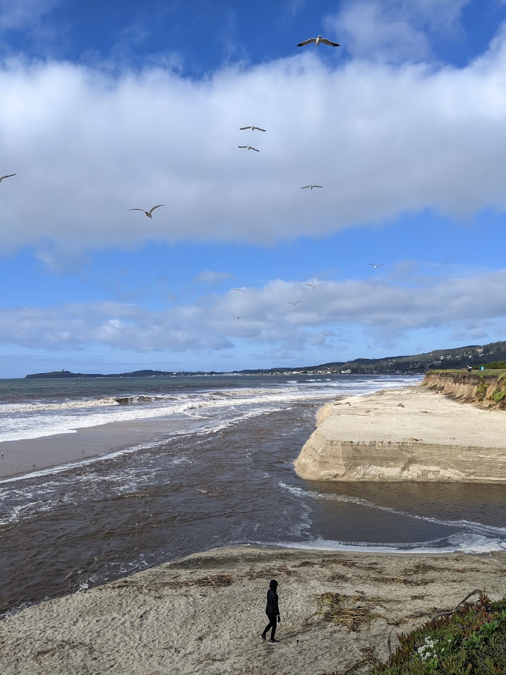 Venice Beach - Half Moon Bay State Beach | 401 Venice Blvd, Half Moon Bay, CA 94019, USA | Phone: (650) 726-8819