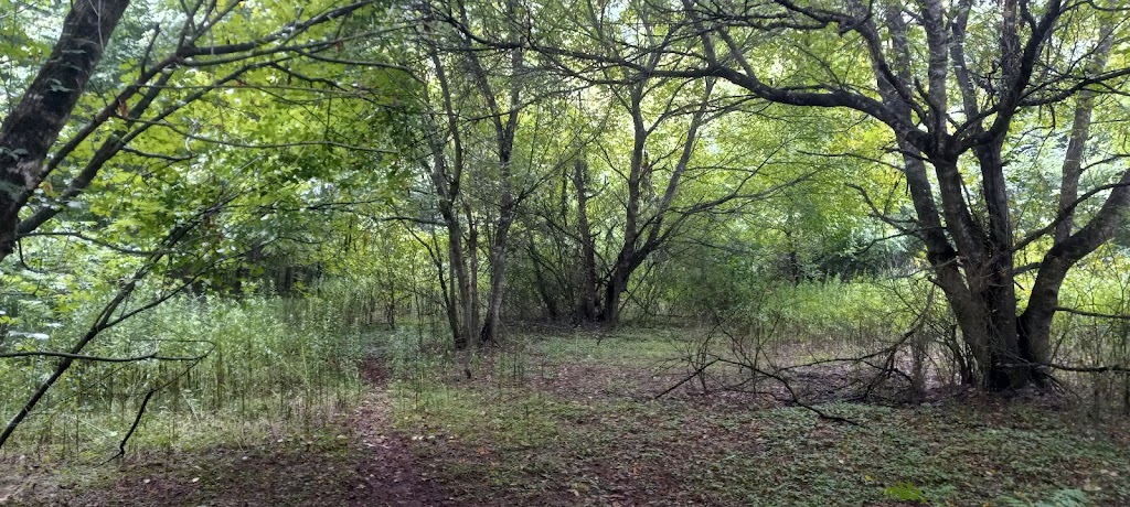 Hickory Trails Park | 3884 Hickory Rd, Canton, GA 30115, USA | Phone: (770) 924-7768