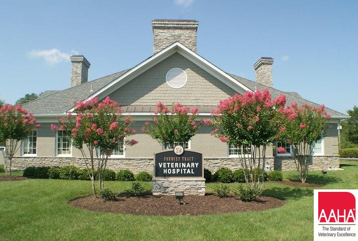 Pouncey Tract Veterinary Hospital | 5450 Pouncey Tract Rd, Glen Allen, VA 23059, USA | Phone: (804) 364-4444