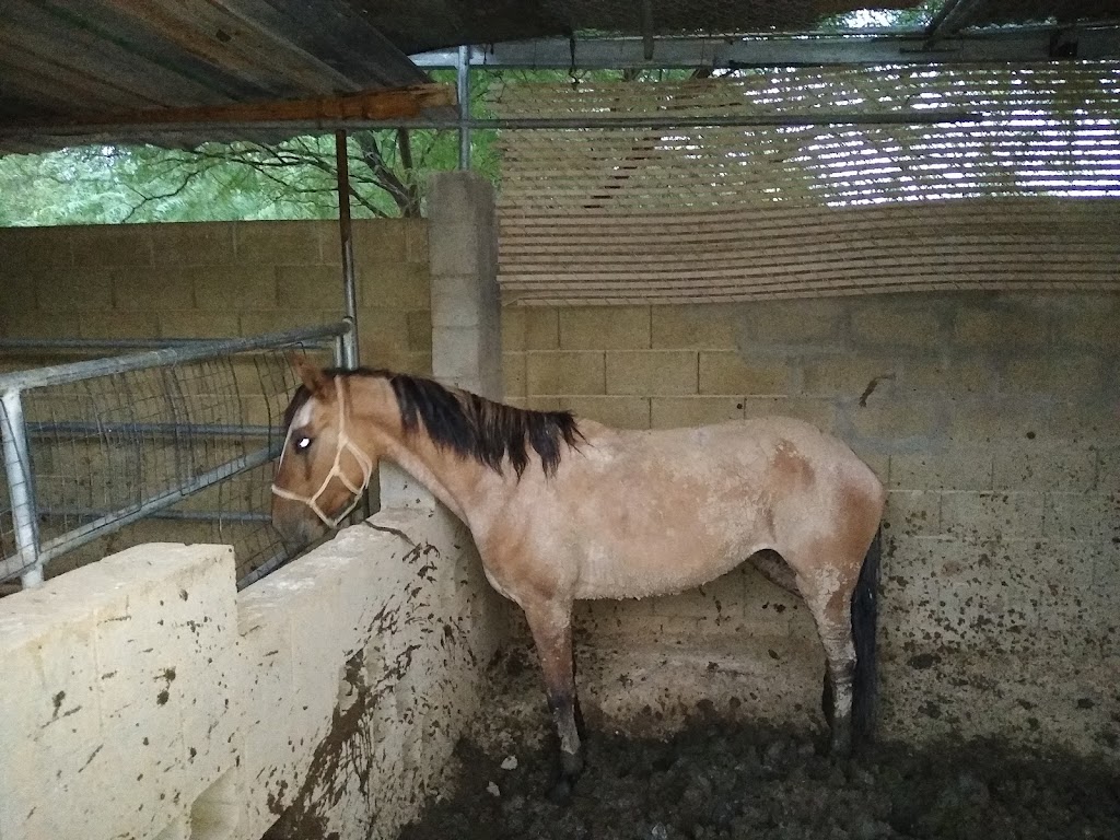 ABC Supply Co. Inc. | 885 N Eliseo Felix Jr Way, Avondale, AZ 85323, USA | Phone: (623) 932-2302