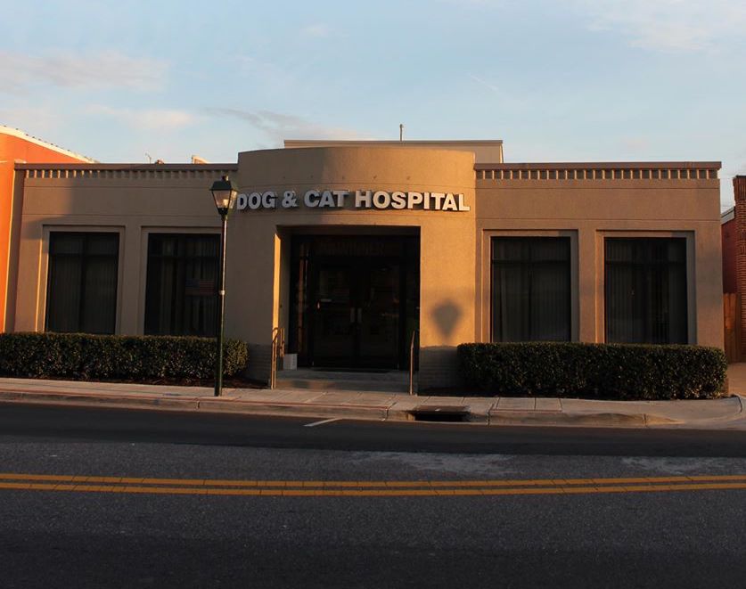 Dog & Cat Hospital | 238 W 21st St, Norfolk, VA 23517, USA | Phone: (757) 622-1788