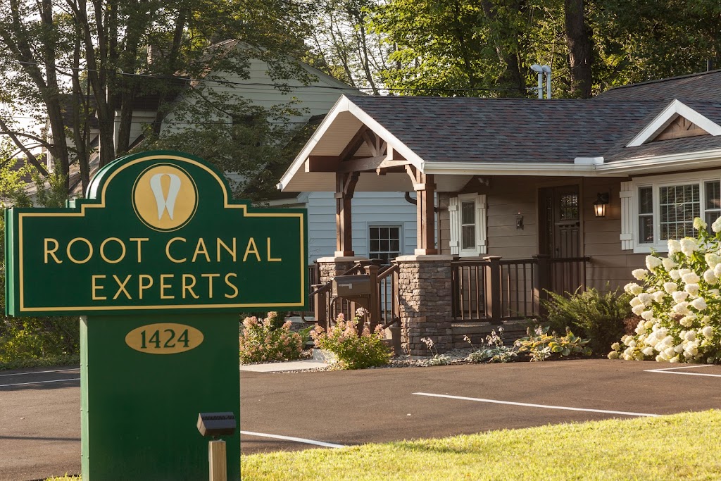 Root Canal Experts | 1424 Western Ave, Albany, NY 12203, USA | Phone: (518) 226-0504