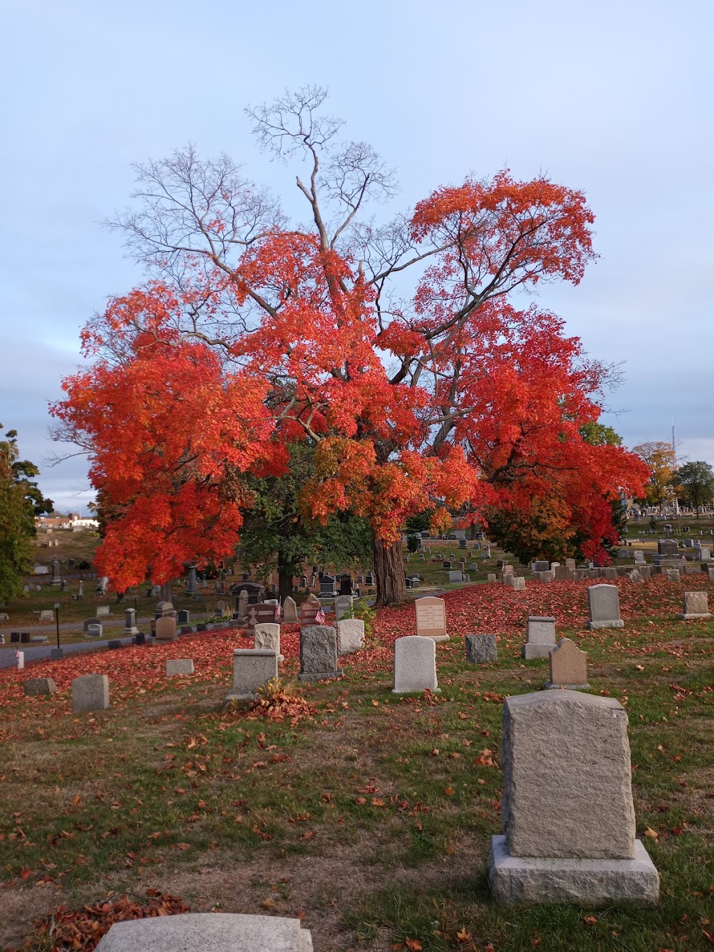 Mt. Wollaston Cemetery | 20 Sea St, Quincy, MA 02169, USA | Phone: (617) 376-1295