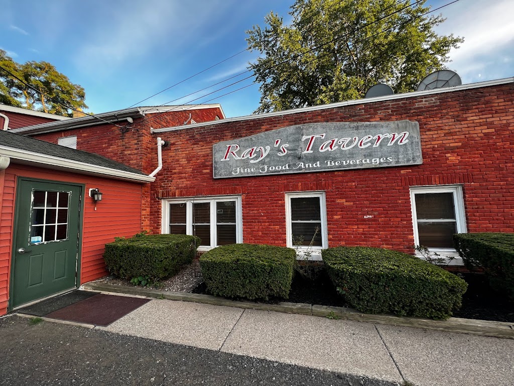 Rays Diner and tavern | 1694 Lake Rd, Youngstown, NY 14174, USA | Phone: (716) 745-3657