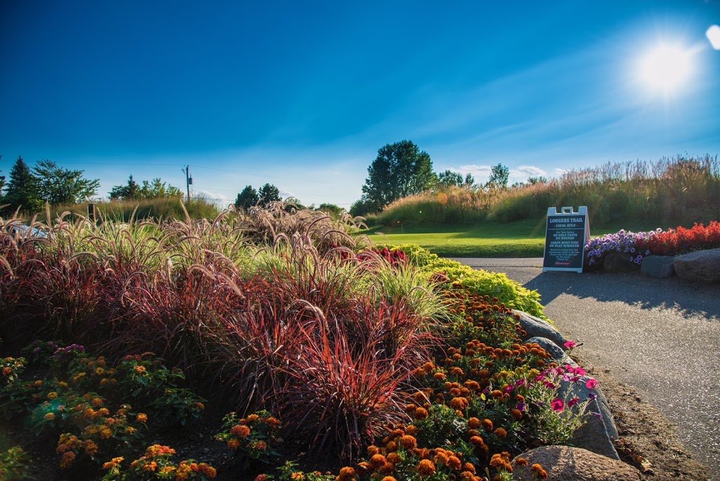 Loggers Trail Golf Course | 11950 80th St N, Stillwater, MN 55082, USA | Phone: (651) 439-7862