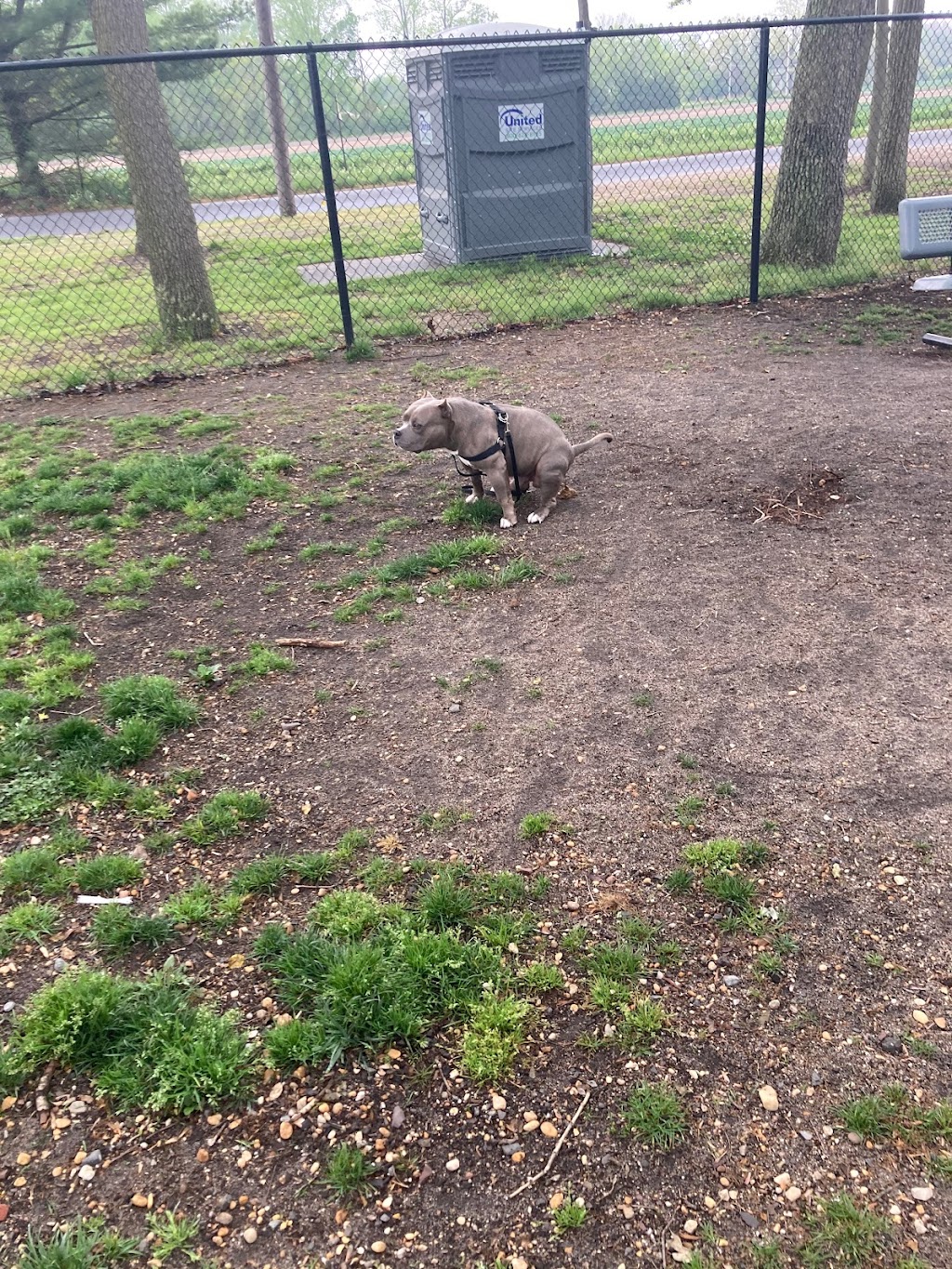 City of Vineland Dog Park | Vineland, NJ 08361, USA | Phone: (856) 794-4084