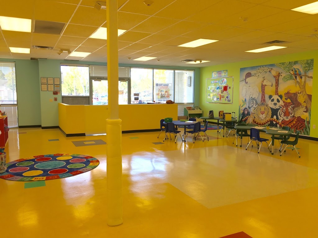 Genius Kids Milpitas | 495 Jacklin Rd, Milpitas, CA 95035, USA | Phone: (408) 610-4000