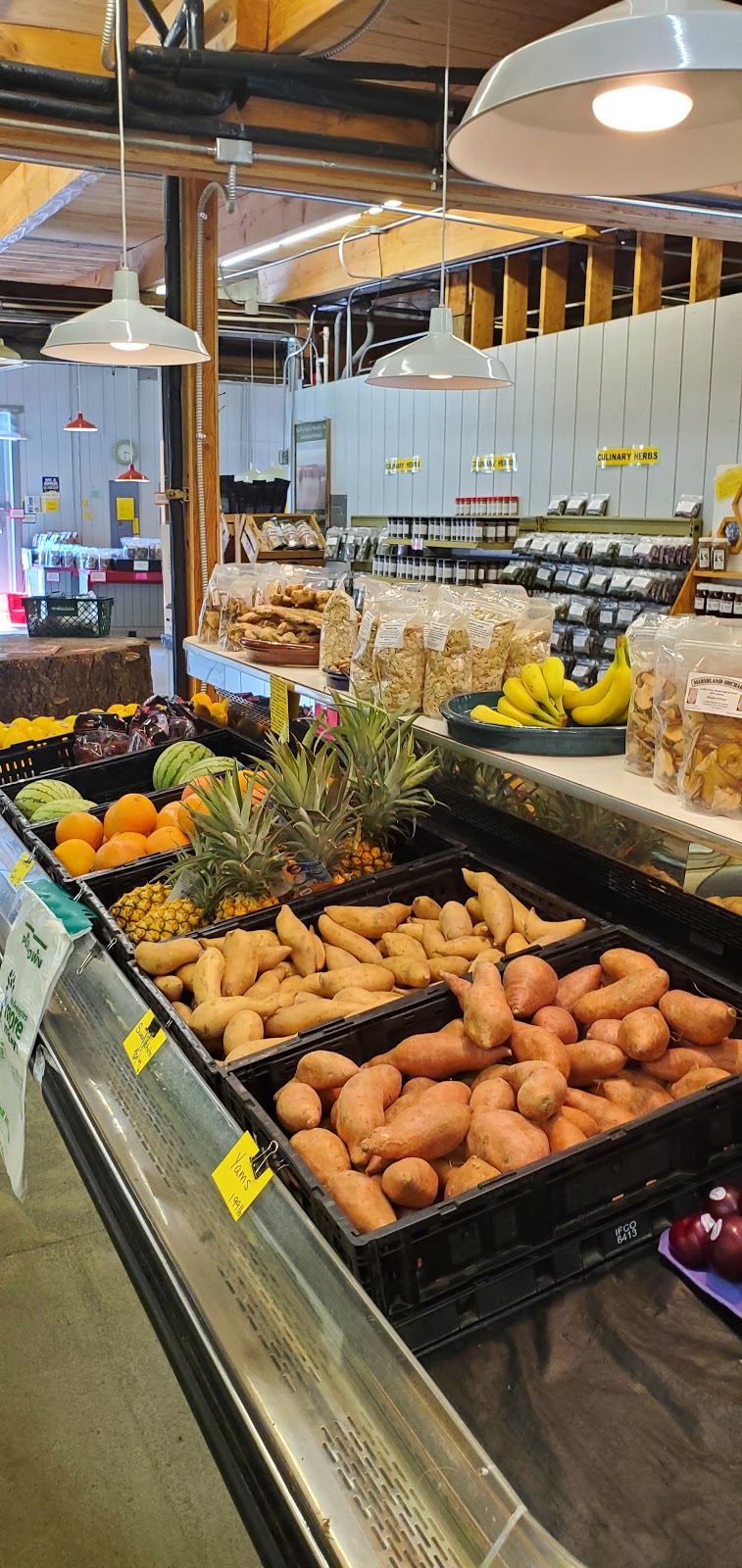 Maltby Produce Market | 19523 Broadway Ave, Snohomish, WA 98296, USA | Phone: (360) 668-0174