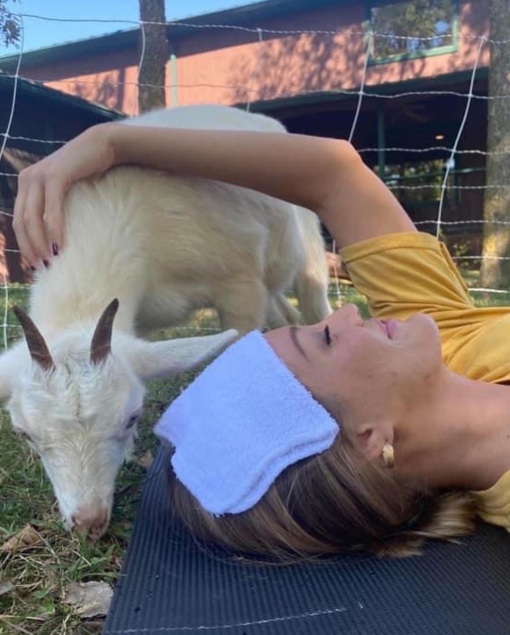 Goat Yoga of Southern IL | 10668 Niggli Rd, Alhambra, IL 62001, USA | Phone: (618) 540-2546