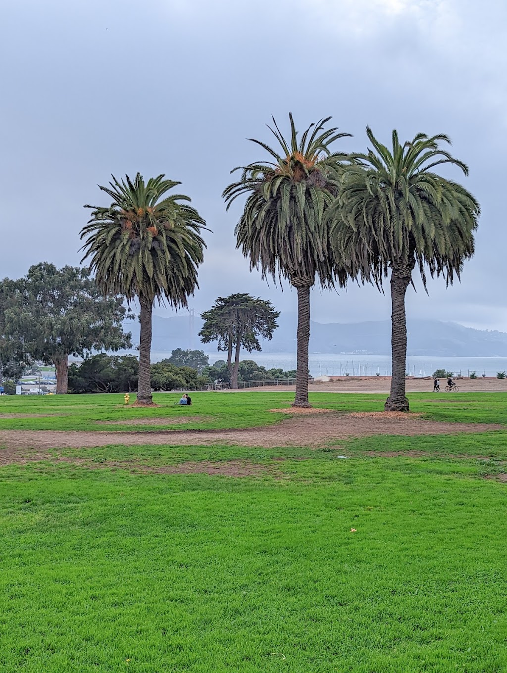 Great Meadow Park at Fort Mason | Bay St, San Francisco, CA 94123, USA | Phone: (415) 561-4700